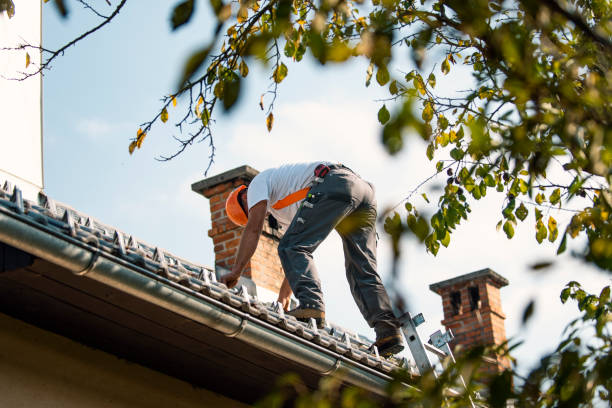 Best Roof Gutter Cleaning  in Leachville, AR