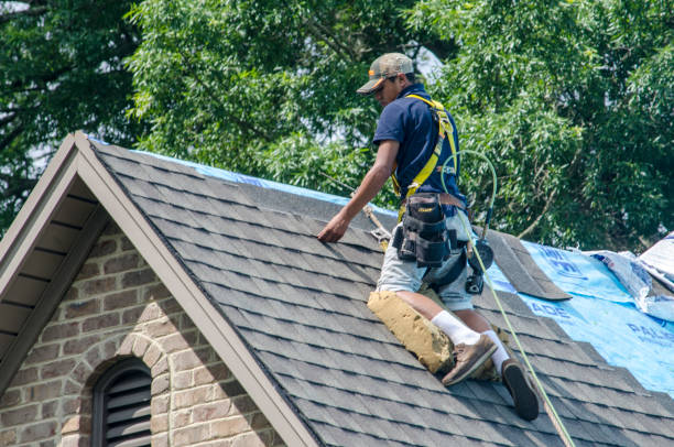 Best Roof Repair Services  in Leachville, AR